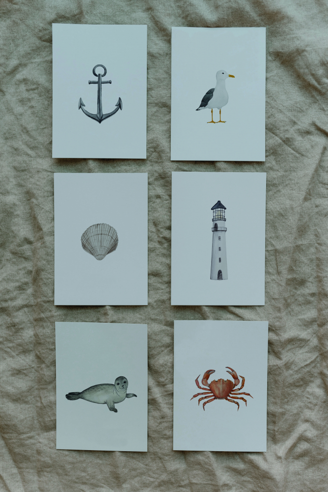 Postkarte Aquarell Muschel von Eulenschnitt 